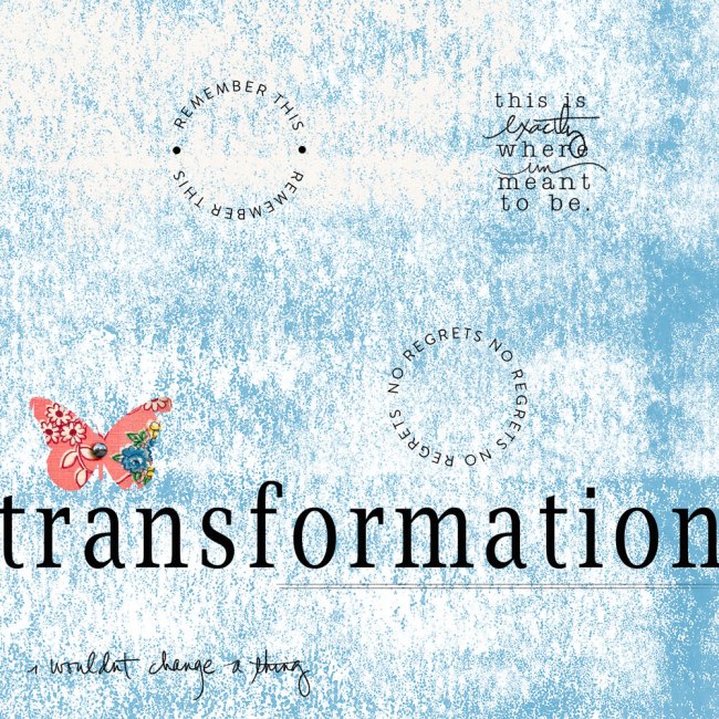 Transformation-2014